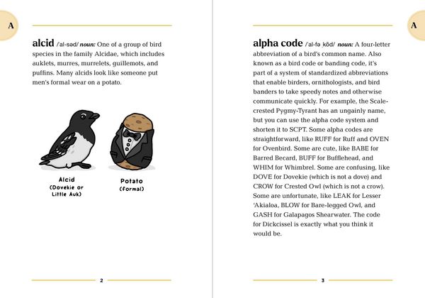 Produktbild: The Birding Dictionary
