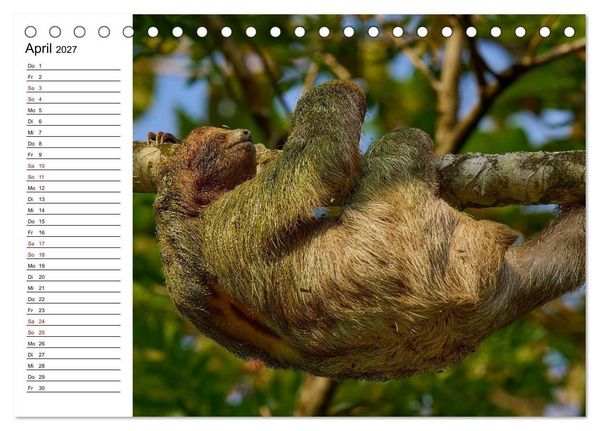 Produktbild: Costa Rica &ndash; Tierparadies im Regenwald (Tischkalender 2027 DIN A5 quer), CALVENDO Monatskalender