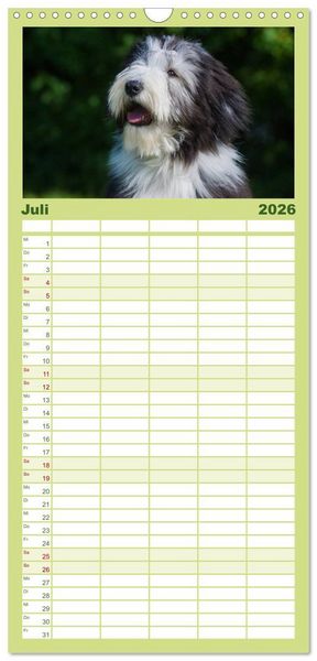 Produktbild: Familienplaner 2026 - Liebenswerter Clown Bearded Collie mit 5 Spalten (Wandkalender, 21 x 45 cm) CALVENDO