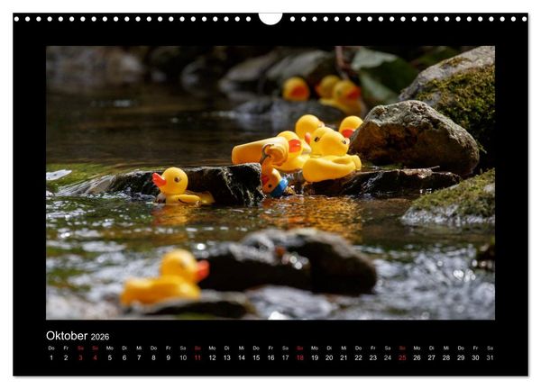 Produktbild: Enten-Rennen (Wandkalender 2026 DIN A3 quer), CALVENDO Monatskalender