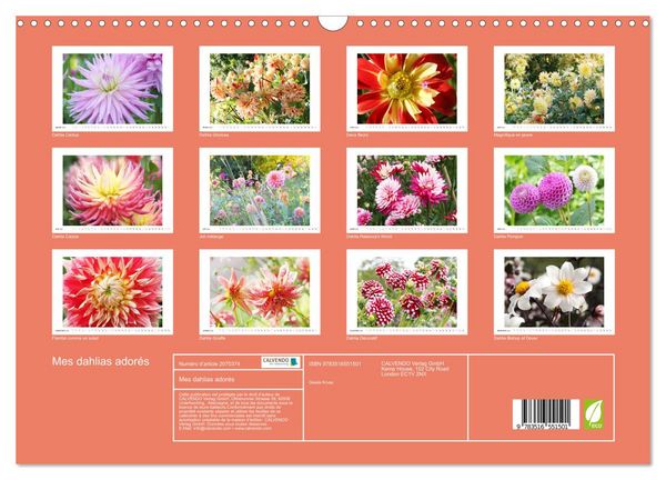Produktbild: Mes dahlias ador&eacute;s (Calendrier mural 2026 DIN A3 vertical), CALVENDO calendrier mensuel
