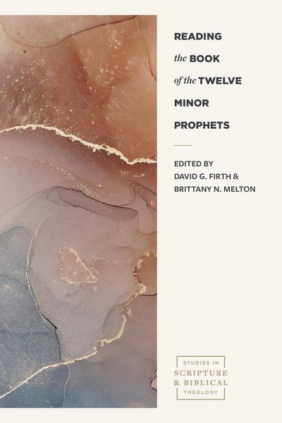 Produktbild: Reading the Book of the Twelve Minor Prophets