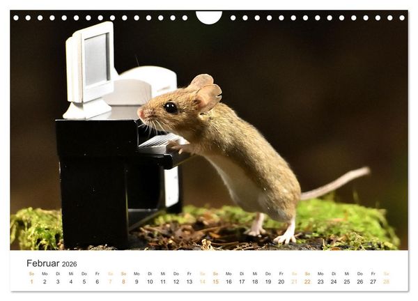 Produktbild: Geheimes Waldleben (Wandkalender 2026 DIN A4 quer), CALVENDO Monatskalender