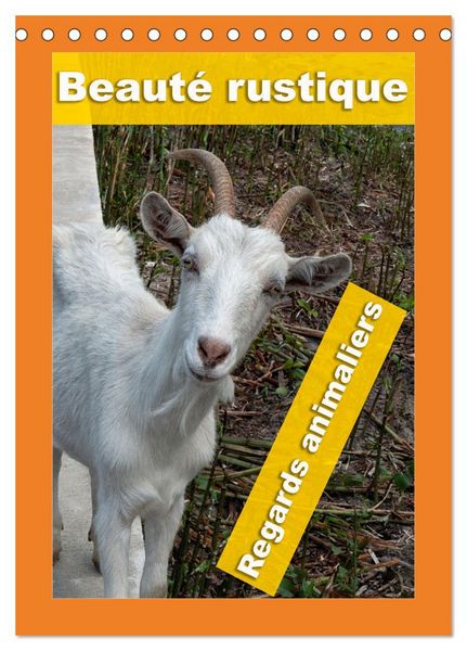 Produktbild: Beaut&eacute; rustique Regards animaliers (Calendrier de bureau 2026 DIN A5 horizontal), CALVENDO calendrier mensuel