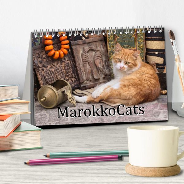 Produktbild: MarokkoCats (Tischkalender 2027 DIN A5 quer), CALVENDO Monatskalender