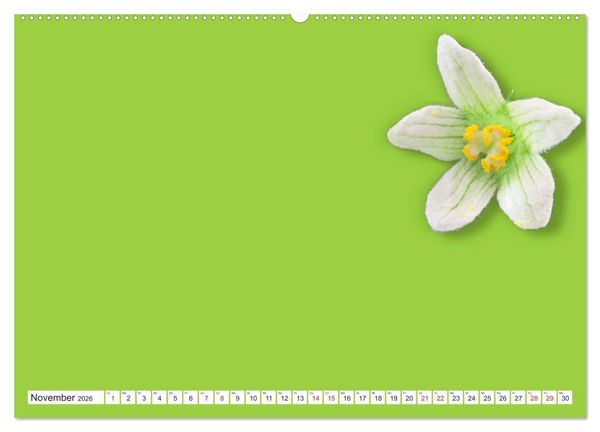 Produktbild: DIY POESIE - BASTELKALENDER (Wandkalender 2026 DIN A2 quer), CALVENDO Monatskalender