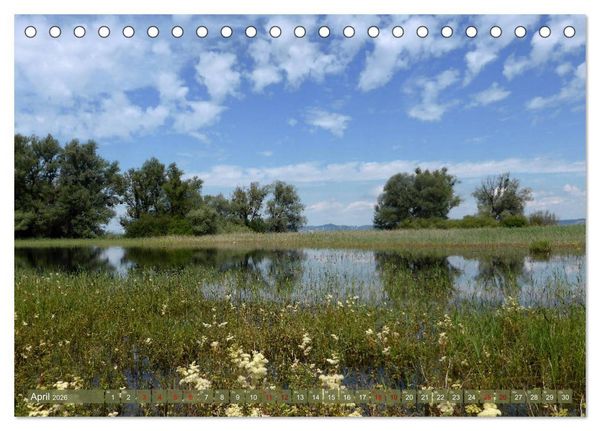 Produktbild: Bodenseeperlen (Tischkalender 2026 DIN A5 quer), CALVENDO Monatskalender