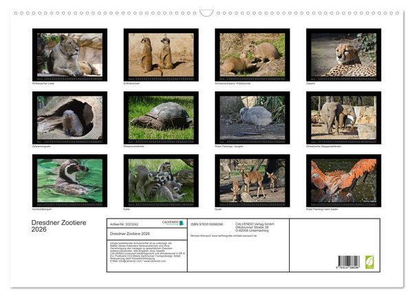 Produktbild: Dresdner Zootiere 2026 (Wandkalender 2026 DIN A2 quer), CALVENDO Monatskalender