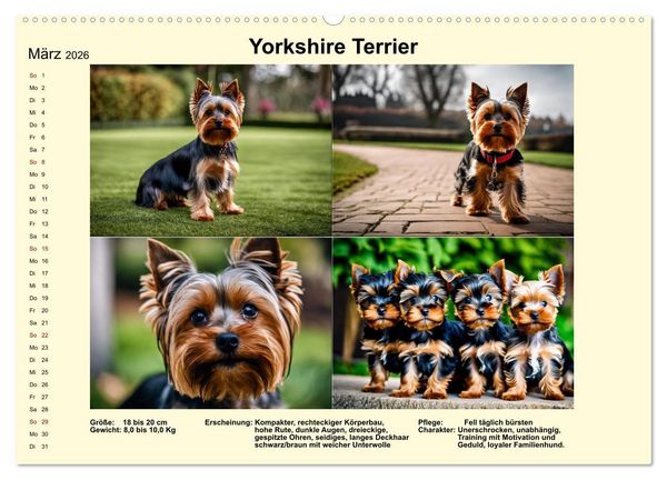 Produktbild: Terrier-Rassen im Portrait (hochwertiger Premium Wandkalender 2026 DIN A2 quer), Kunstdruck in Hochglanz
