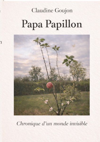 Produktbild: Papa Papillon