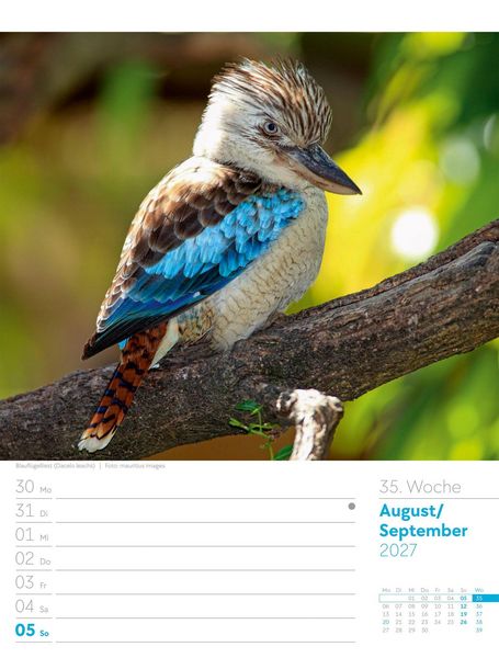 Produktbild: V&ouml;gel Wochenplaner Kalender 2027