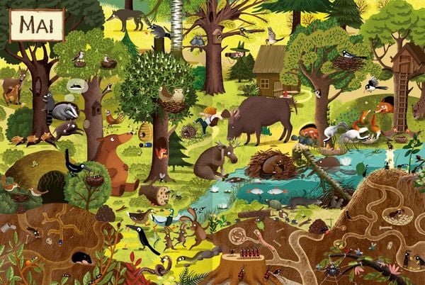Produktbild: Ein Jahr im Wald