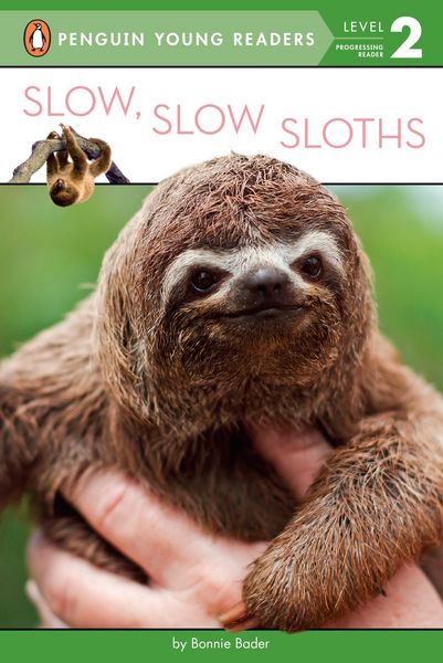 Produktbild: Slow, Slow Sloths