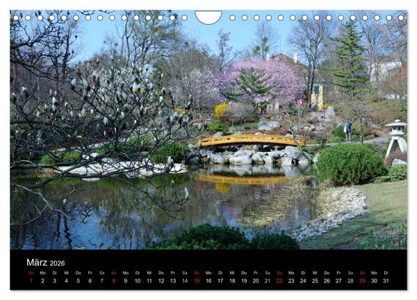 Produktbild: Wien (Wandkalender 2026 DIN A4 quer), CALVENDO Monatskalender