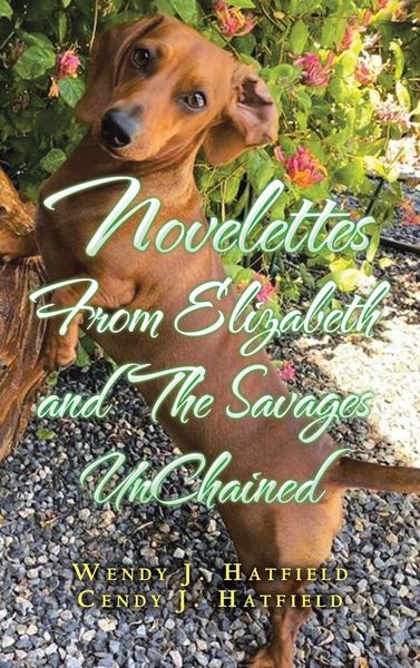 Produktbild: Novelettes from Elizabeth and the Savages Unchained