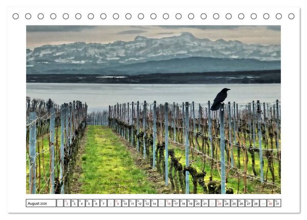 Produktbild: Bodensee - Seesucht (Tischkalender 2026 DIN A5 quer), CALVENDO Monatskalender