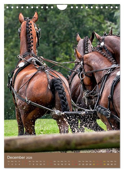 Produktbild: Carriage Driving - Horses in Action (Wall Calendar 2026 DIN A4 portrait), CALVENDO 12 Month Wall Calendar
