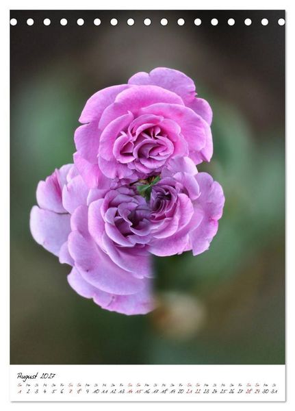 Produktbild: Durchschnittlich - Verzauberte Flora (Tischkalender 2027 DIN A5 hoch), CALVENDO Monatskalender