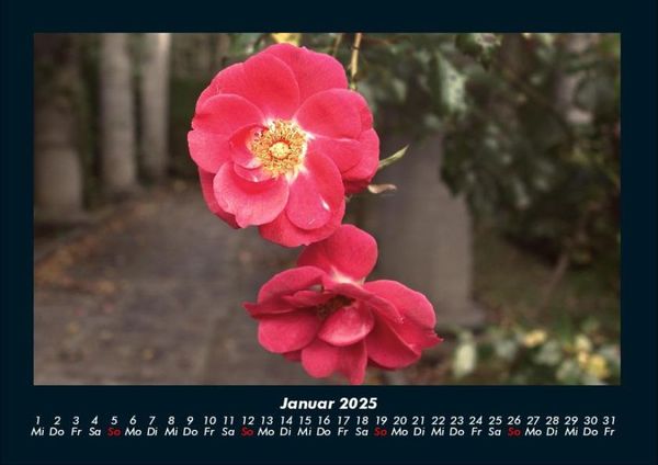 Produktbild: Blumenzauber 2025 Fotokalender DIN A4
