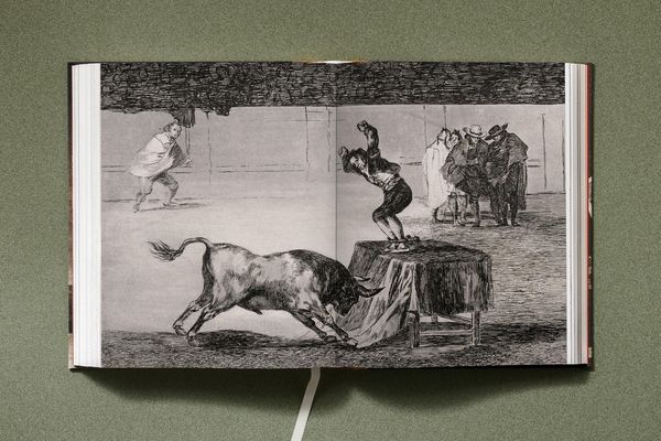 Produktbild: Goya