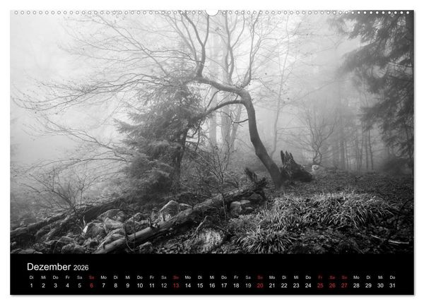Produktbild: Monochrom 2026 (Wandkalender 2026 DIN A2 quer), CALVENDO Monatskalender