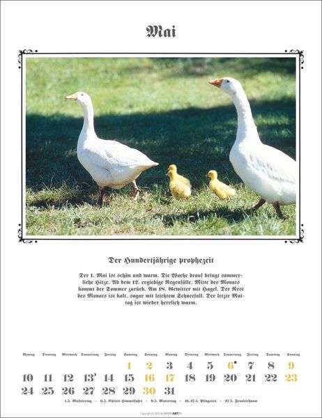 Produktbild: Der Hundertj&auml;hrige Kalender 2027