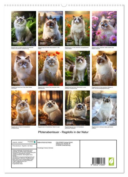 Produktbild: Pfotenabenteuer - Ragdolls in der Natur (hochwertiger Premium Wandkalender 2026 DIN A2 hoch), Kunstdruck in Hochglanz