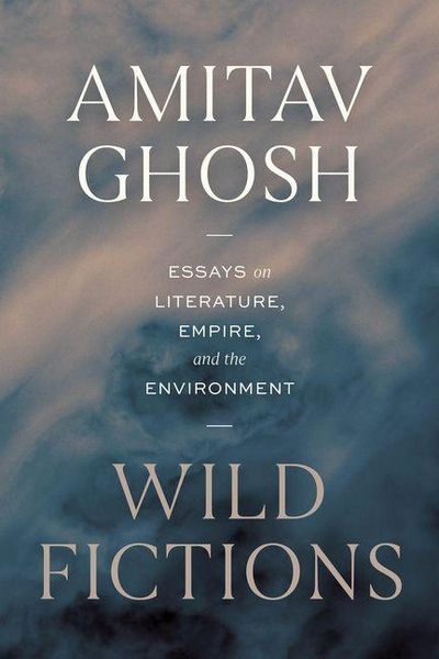 Produktbild: Wild Fictions