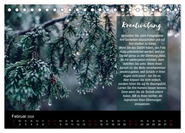 Produktbild: Die Sch&ouml;nheit der Natur - Naturfotografie-Kalender mit Foto- und Kreativ&uuml;bungen (Tischkalender 2026 DIN A5 quer), CALVENDO Monatskalender