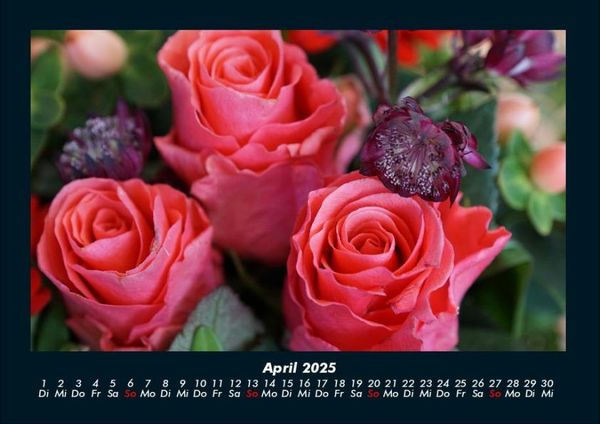 Produktbild: Rosen-Kalender 2025 Fotokalender DIN A4