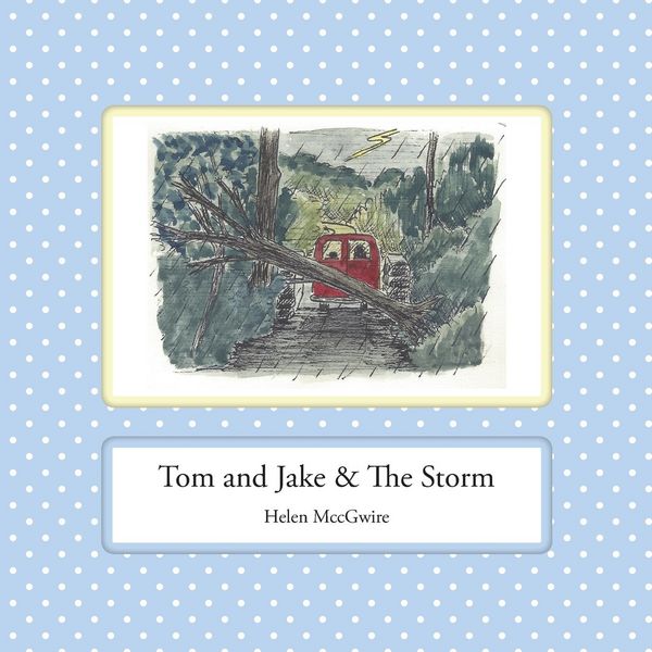 Produktbild: MccGwire, H: Tom and Jake & The Storm