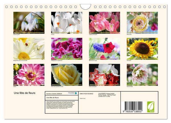 Produktbild: Une f&ecirc;te de fleurs (Calendrier mural 2026 DIN A4 vertical), CALVENDO calendrier mensuel