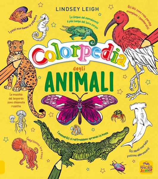 Produktbild: Colorpedia degli animali