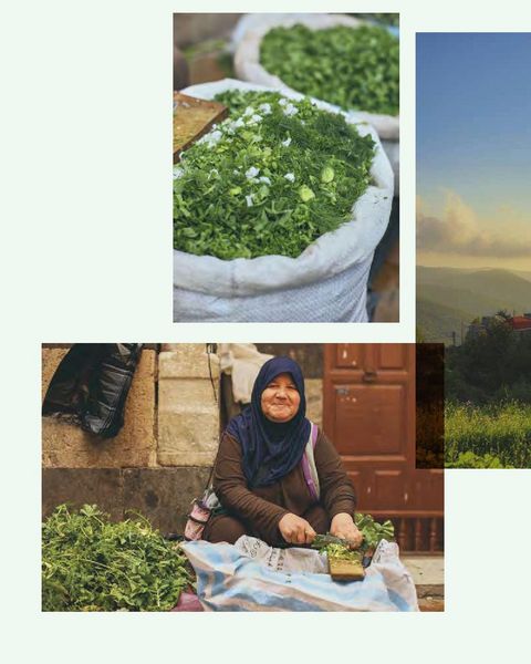 Produktbild: Beirut - Das Kochbuch