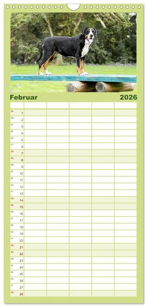 Produktbild: Familienplaner 2026 - Gro&szlig;e Schweizer - Gigantische Sennenhunde mit 5 Spalten (Wandkalender, 21 x 45 cm) CALVENDO