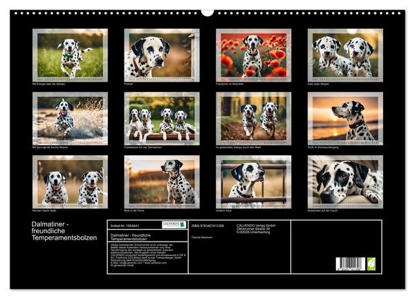 Produktbild: Dalmatiner - freundliche Temperamentsbolzen (Wandkalender 2026 DIN A2 quer), CALVENDO Monatskalender