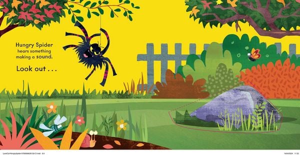 Produktbild: Look Out! Hungry Spider