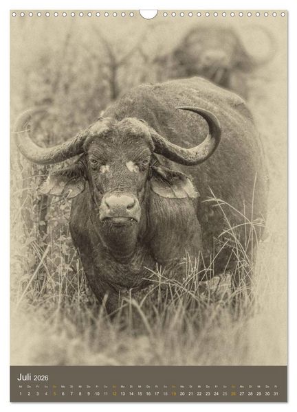 Produktbild: Afrikas Tierwelt - Sepia-Art (Wandkalender 2026 DIN A3 hoch), CALVENDO Monatskalender