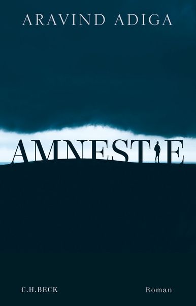 Produktbild: Amnestie