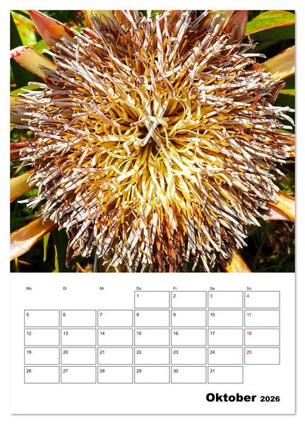 Produktbild: Fotokunst und Natur 2026 (Wandkalender 2026 DIN A4 hoch), CALVENDO Monatskalender