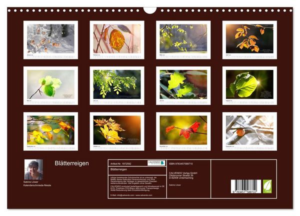 Produktbild: Bl&auml;tterreigen (Wandkalender 2026 DIN A3 quer), CALVENDO Monatskalender