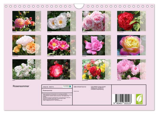 Produktbild: Rosensommer (Wandkalender 2026 DIN A4 quer), CALVENDO Monatskalender