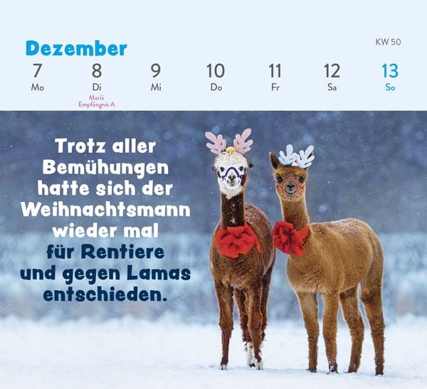Produktbild: Mini-Wochenkalender 2026: Tierisch gechillt!