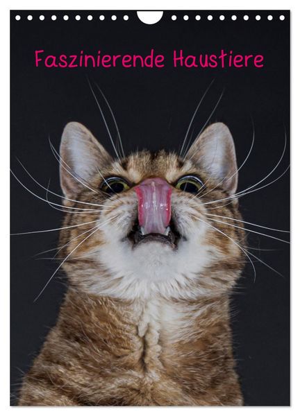 Produktbild: Faszinierende Haustiere (Wandkalender 2026 DIN A4 hoch), CALVENDO Monatskalender