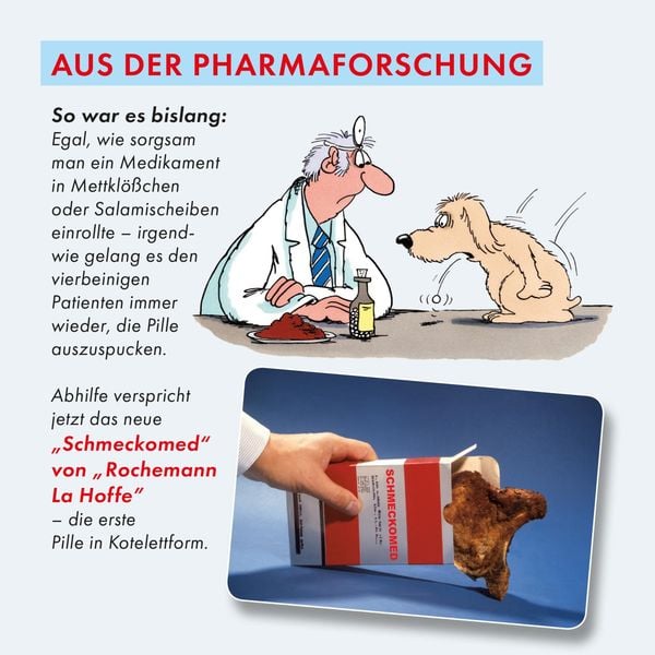 Produktbild: Uli Stein f&uuml;r Tierfreunde: Viel Spa&szlig; mit Hunden
