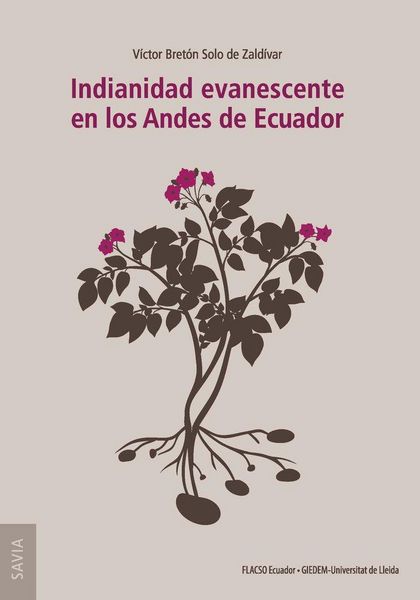 Produktbild: Indianidad evanescente en los Andes de Ecuador