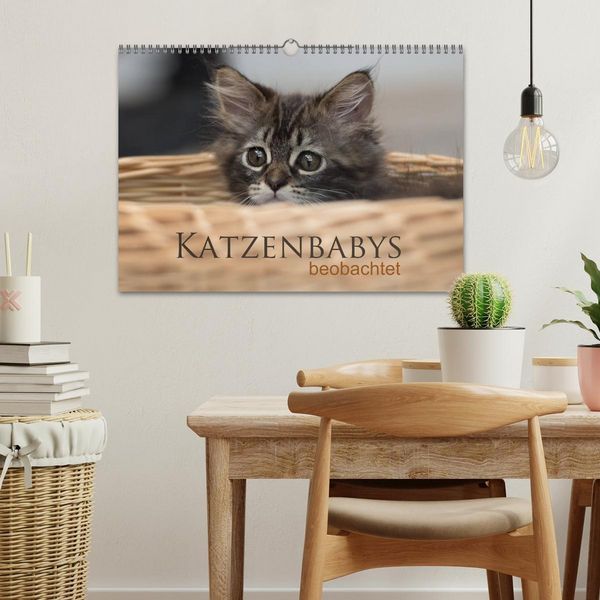 Produktbild: Katzenbabys beobachtet (Wandkalender 2026 DIN A3 quer), CALVENDO Monatskalender