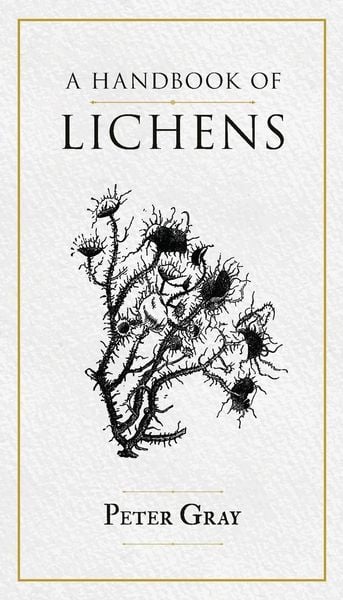 Produktbild: A Handbook of Lichens