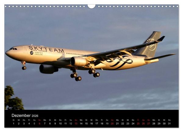 Produktbild: Sch&ouml;nheit der Flugzeuge (Wandkalender 2026 DIN A3 quer), CALVENDO Monatskalender