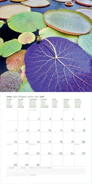Produktbild: Wunderwerk Natur &ndash; Bizarre Strukturen - KUNTH Broschurkalender 2027